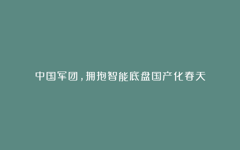 中国军团，拥抱智能底盘国产化春天