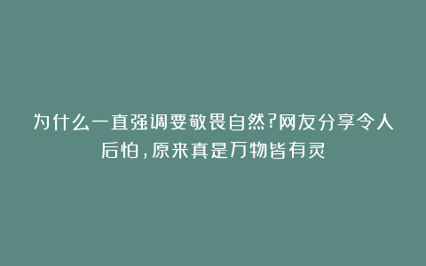 为什么一直强调要敬畏自然?网友分享令人后怕,原来真是万物皆有灵