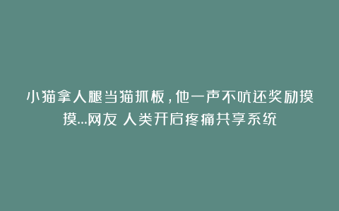 小猫拿人腿当猫抓板，他一声不吭还奖励摸摸…网友：人类开启疼痛共享系统