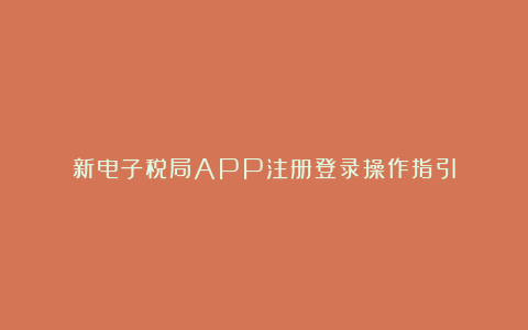 新电子税局APP注册登录操作指引