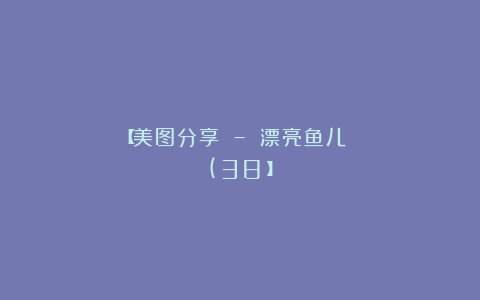 【美图分享 – 漂亮鱼儿 (38）】