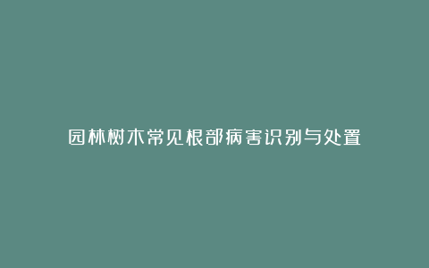 园林树木常见根部病害识别与处置