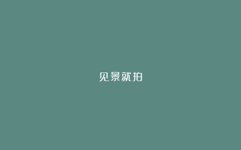 见景就拍