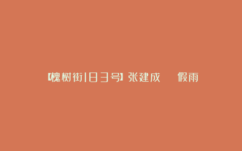 【槐树街183号】张建成 | 假雨