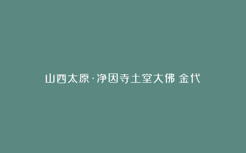 山西太原·净因寺土堂大佛（金代）