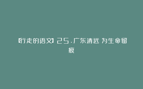 【行走的语文】25.广东清远：为生命留痕