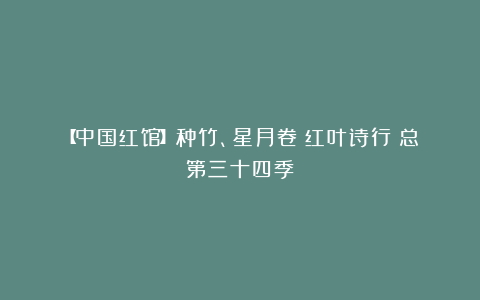 【中国红馆】种竹、星月卷《红叶诗行》总第三十四季