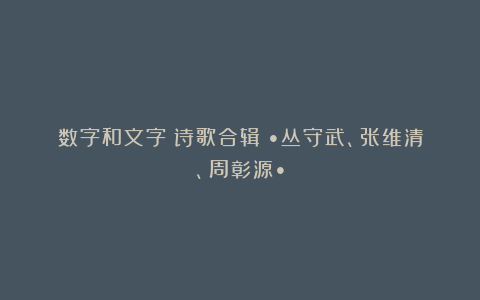 数字和文字（诗歌合辑）•丛守武、张维清、周彰源•