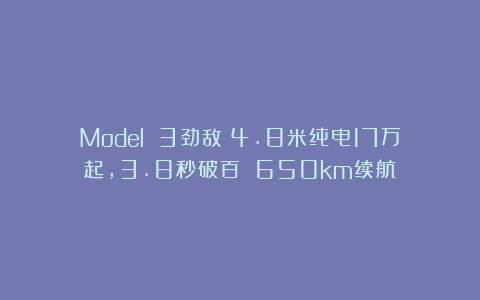 Model 3劲敌！4.8米纯电17万起，3.8秒破百 650km续航