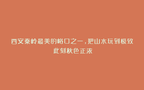 西安秦岭最美的峪口之一，把山水玩到极致！此刻秋色正浓！