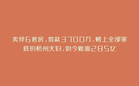 卖掉6套房，借款3700万，赌上全部家底的杭州夫妇，如今账面285亿