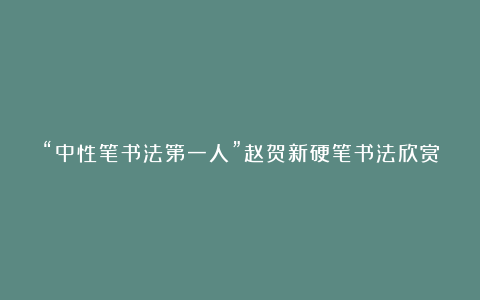 “中性笔书法第一人”赵贺新硬笔书法欣赏