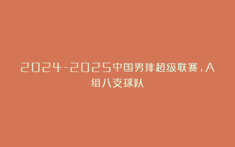 2024-2025中国男排超级联赛，A组八支球队