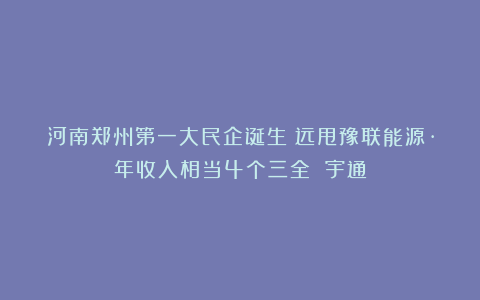 河南郑州第一大民企诞生：远甩豫联能源·年收入相当4个三全 宇通