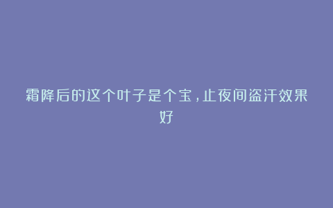 霜降后的这个叶子是个宝，止夜间盗汗效果好