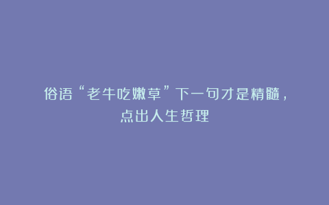 俗语：“老牛吃嫩草”！下一句才是精髓，点出人生哲理