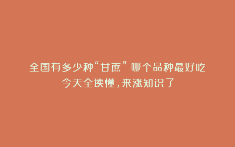 全国有多少种“甘蔗”？哪个品种最好吃？今天全读懂，来涨知识了