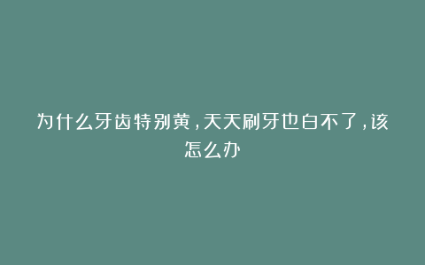 为什么牙齿特别黄，天天刷牙也白不了，该怎么办？