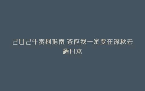 2024赏枫指南｜答应我一定要在深秋去趟日本