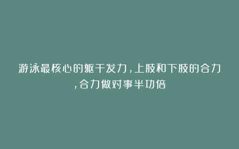 游泳最核心的躯干发力，上肢和下肢的合力，合力做对事半功倍！