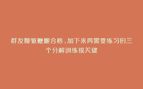 群友髋驱鞭腿合格，加下来再需要练习的三个分解训练很关键！