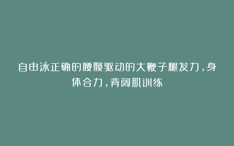 自由泳正确的腰髋驱动的大鞭子腿发力，身体合力，背阔肌训练