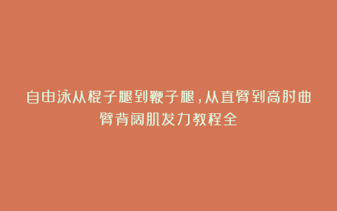 自由泳从棍子腿到鞭子腿，从直臂到高肘曲臂背阔肌发力教程全