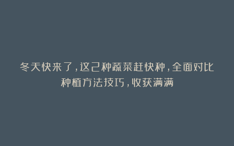 冬天快来了，这2种蔬菜赶快种，全面对比种植方法技巧，收获满满