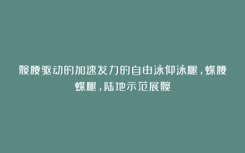 髋腰驱动的加速发力的自由泳仰泳腿，蝶腰蝶腿，陆地示范展髋