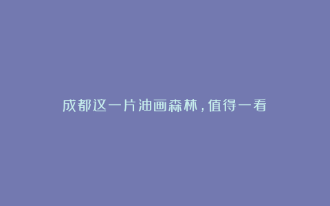 成都这一片油画森林，值得一看！