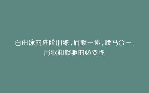 自由泳的进阶训练，肩髋一体，腰马合一，肩驱和髋驱的必要性