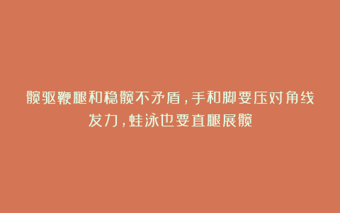 髋驱鞭腿和稳髋不矛盾，手和脚要压对角线发力，蛙泳也要直腿展髋