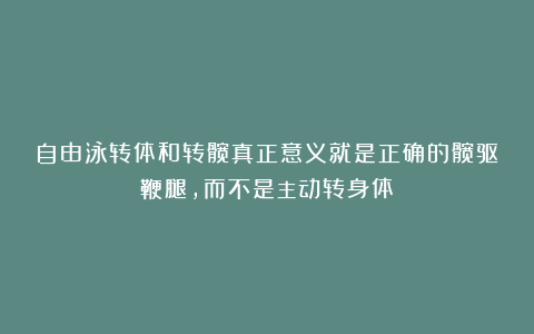 自由泳转体和转髋真正意义就是正确的髋驱鞭腿，而不是主动转身体