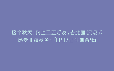 这个秋天，约上三五好友，去北疆！沉浸式感受北疆秋色~「09/24期合辑」