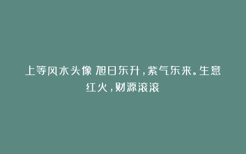 上等风水头像：旭日东升，紫气东来。生意红火，财源滚滚！