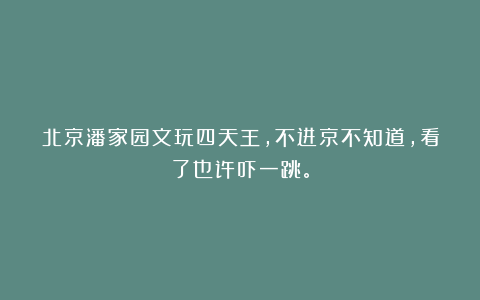 北京潘家园文玩四天王，不进京不知道，看了也许吓一跳。