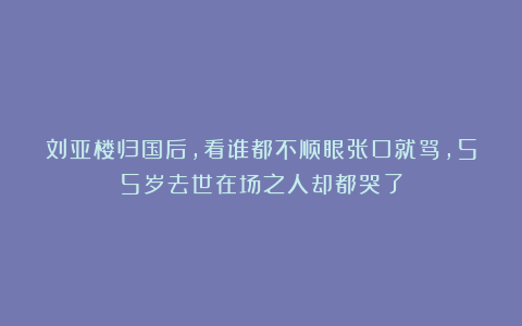 刘亚楼归国后，看谁都不顺眼张口就骂，55岁去世在场之人却都哭了