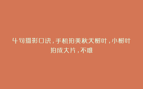 4句摄影口诀，手机拍美秋天树叶，小树叶拍成大片，不难