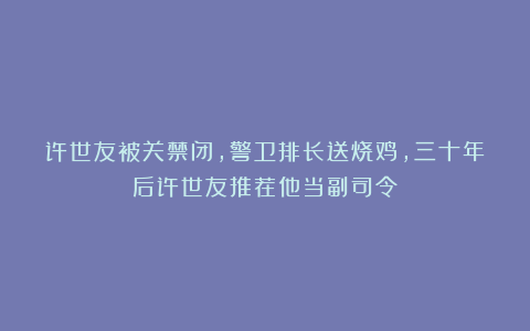 许世友被关禁闭，警卫排长送烧鸡，三十年后许世友推荐他当副司令