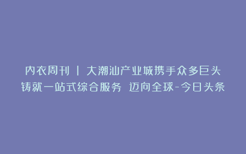 内衣周刊 I 大潮汕产业城携手众多巨头铸就一站式综合服务 迈向全球-今日头条