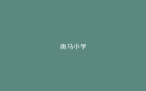 南马小学