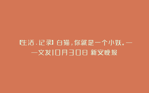 【生活.记录】白猫，你就是一个小妖。——文发10月30日《新安晚报》