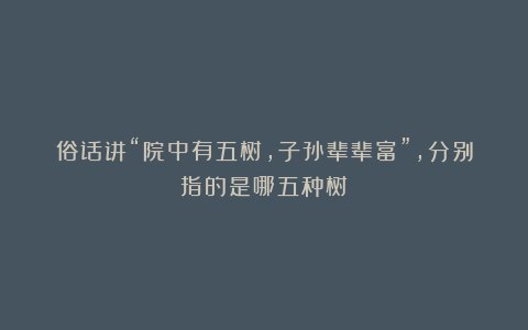 俗话讲“院中有五树，子孙辈辈富”，分别指的是哪五种树？