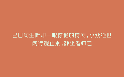 20句生僻却一眼惊艳的诗词，小众绝世：闲行观止水，静坐看归云