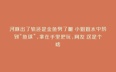 河豚出了轨还是金鱼劈了腿？小姐姐水中捞到“鱼球”，拿在手里把玩，网友：这是个啥