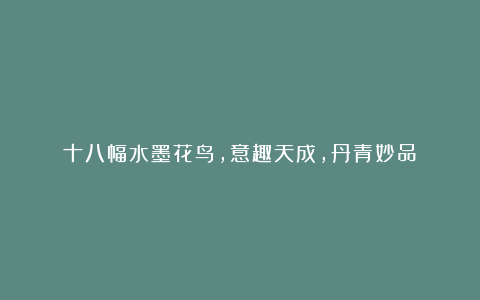 十八幅水墨花鸟，意趣天成，丹青妙品！