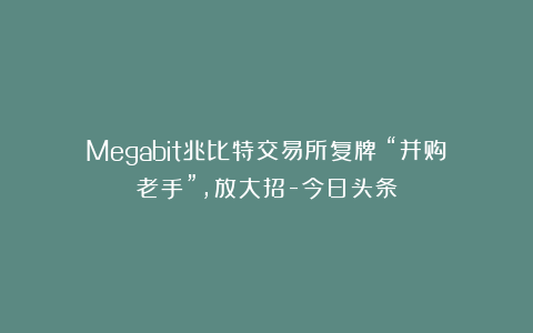 Megabit兆比特交易所复牌！“并购老手”，放大招-今日头条