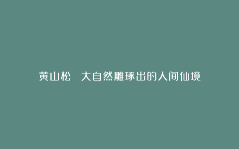 黄山松雲 大自然雕琢出的人间仙境