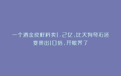 一个洒金皮籽料卖1.2亿，比天狗奇石还要贵出10倍，开眼界了！