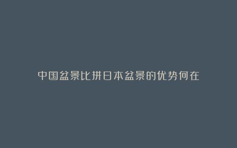 中国盆景比拼日本盆景的优势何在？